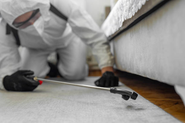 Professional Bed Bug Control technician working in Minot AFB, ND
