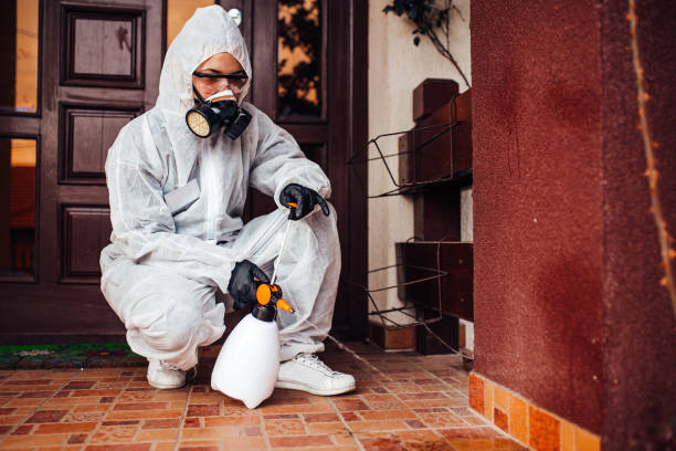 Reliable Bed Bug Control contractor in Minot AFB, ND by Nex Pest Control