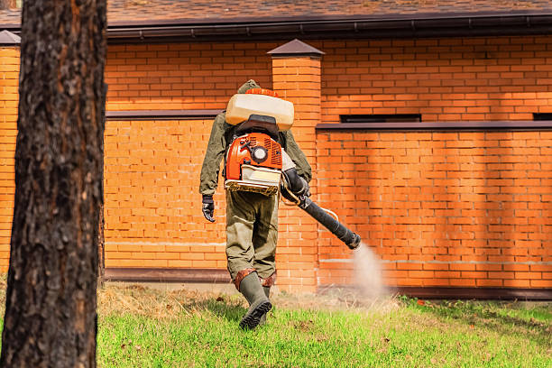 Trusted Termite Control service in Minot AFB, ND - Nex Pest Control